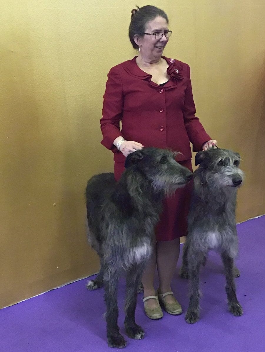 We like to get up close on our dog show tours