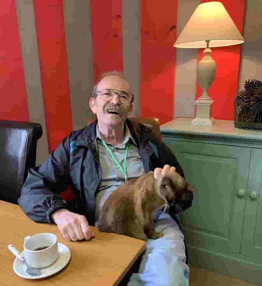 Bruce making a cat friend in Cambridge