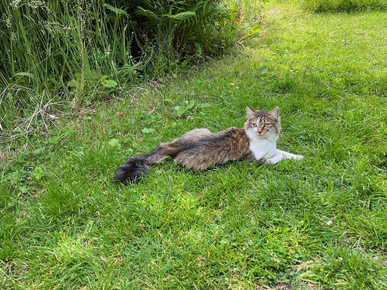 Royal Botanical Garden Edinburgh