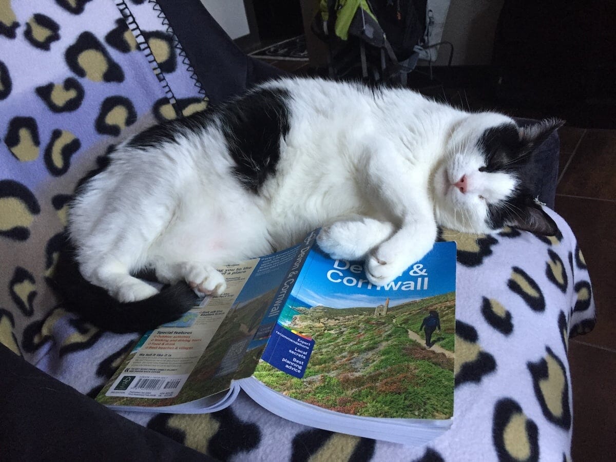 Garden tour planning with Lucky Kosta