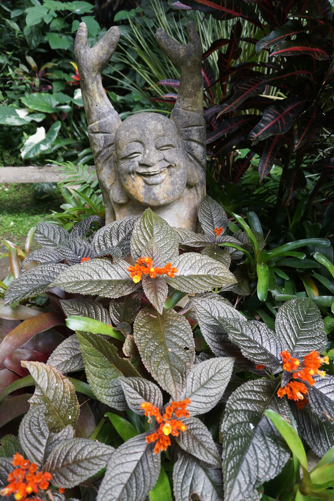 Happy Buddha in Barbados