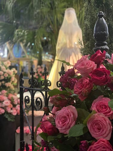 Rose exhibit at the Philadelphia Flower Show