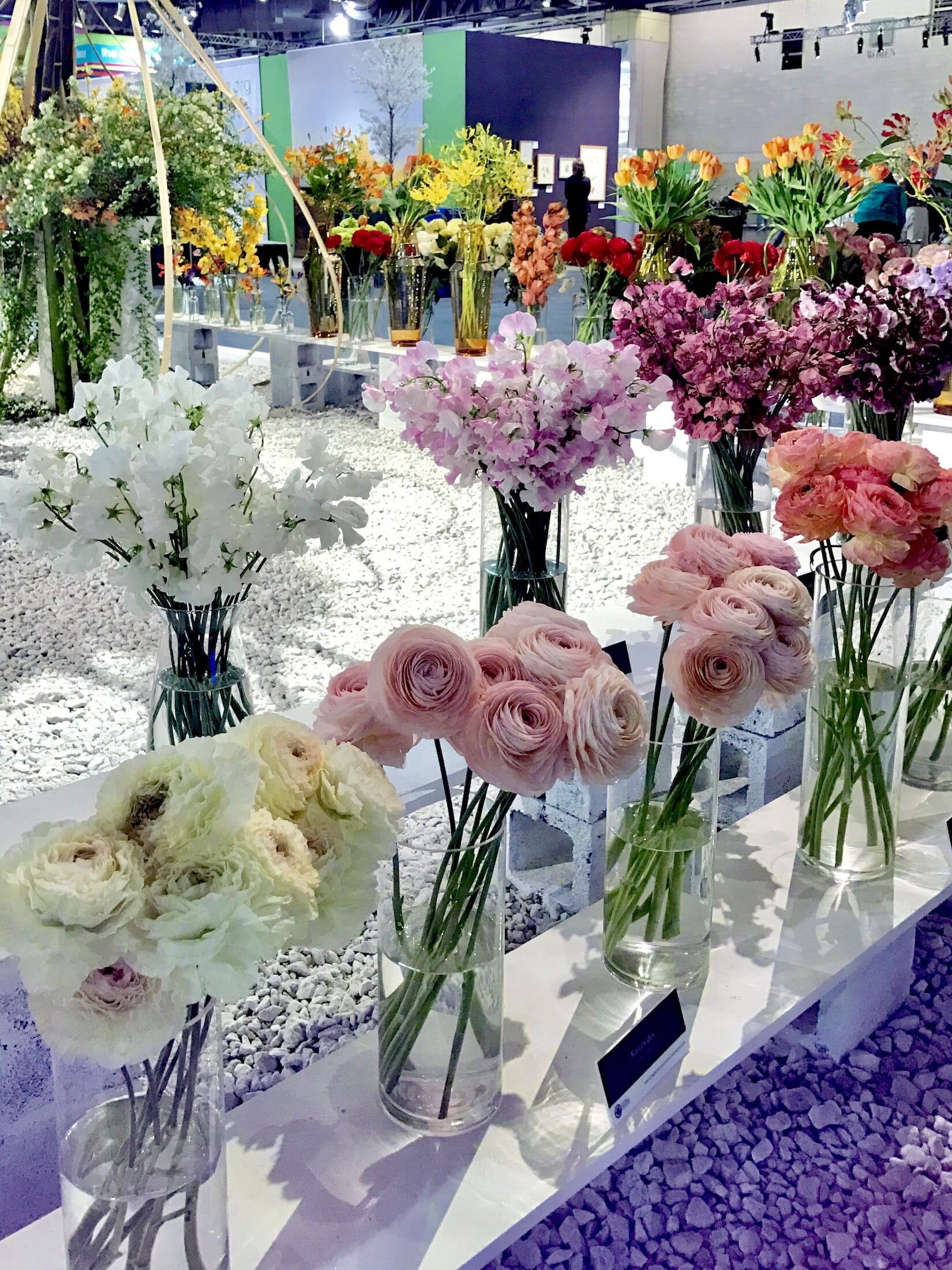 Philadelphia Flower Show Tour Huron Tours Philadelphia Flower Show Tour Huron Tours
